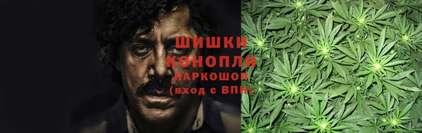 дживик Абинск