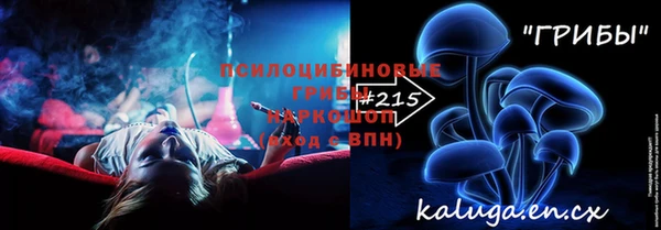 дживик Абинск