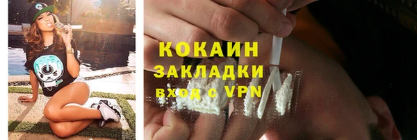 дживик Абинск