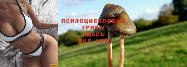 apvp Абдулино