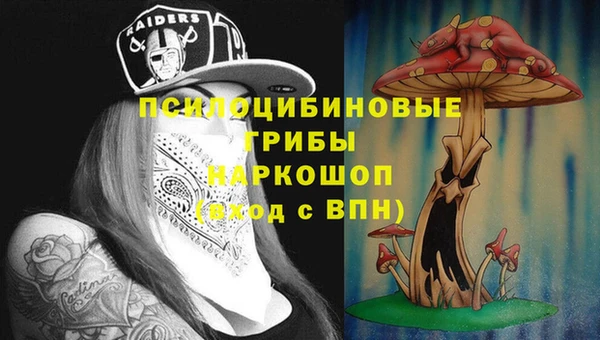 apvp Абдулино