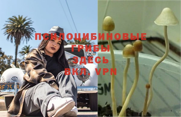 дживик Абинск