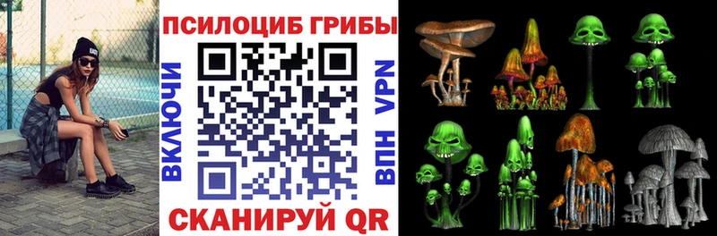 Галлюциногенные грибы мицелий  Вытегра 