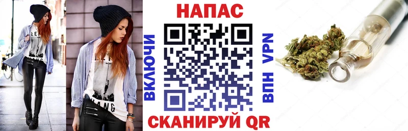Конопля сатива  Вытегра 